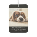 Search for motivational quotes car air fresheners Cute
