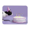 Search for outing rectangular magnets Cute