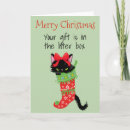 Search for cat in box cards Funny