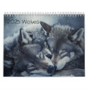 Recherche de canines photographie Photographie de la faune