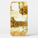 Search for alpacas iphone cases Pattern