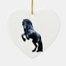 Search for stallion ornaments Friesian