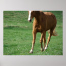 Search for trotting posters Equine