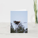 Search for pine branch cards Tree