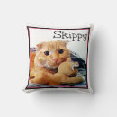 Search for buddy pillows Pets