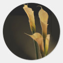 Recherche de calla lilly autocollants Fiançailles