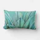 Recherche de agave coussins Botanique