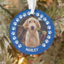 Recherche de empreinte de patte chien ornements Noël