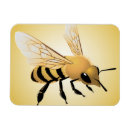 Search for buzzing magnets Black