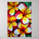 Search for frangipani art Flower