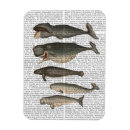 Search for five magnets Steampunk