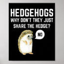 Search for hedgehog posters Music