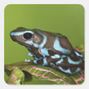 Search for native animals stickers Nature