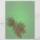 Search for maple leaf flyers Trees