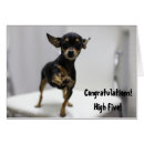 Search for high fiving Funny