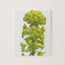 Recherche de coupe du monde puzzles Plantes