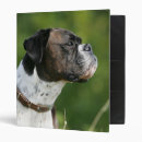 Search for profile binders Dog