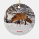 Search for red fox ornaments Wildlife