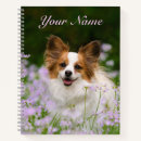 Search for papillon dog Cute