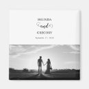 Search for stationery magnets Elegant