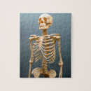 Search for human skeleton puzzles Bones
