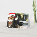 Search for adorable christmas cards Cat