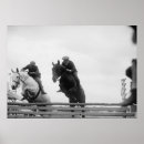 Search for black and white horse photography art Vintage