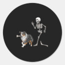 Search for australian shepherds stickers Fun