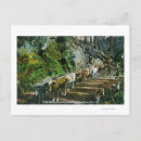 Recherche de humboldt cartes postales Californie