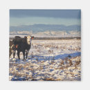 Search for looking at camera magnets Agriculture