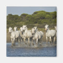 Search for brenda tharp France