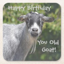 Search for goat coasters Funny
