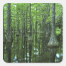 Search for cypress stickers Florida