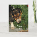 Search for snoopy christmas cards Cute