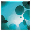 Search for aquatic posters Nature