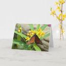 Recherche de papillon tropical vœux cartes Nature