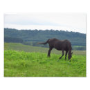 Search for love of animals posters Farm