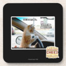 Search for quiet coasters I can has cheezburger