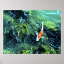 Recherche de culture traditionnelle posters Carpe