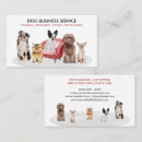 Search for overnight Pet sitting