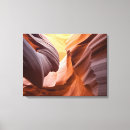 Recherche de antilope art Nature