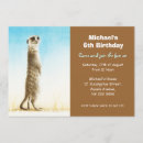 Search for meerkat birthday invitations Cute