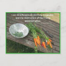 Recherche de lot cartes postales Jardin