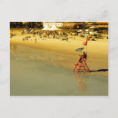 Recherche de sauveteur cartes postales Surf
