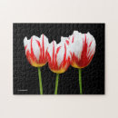 Recherche de érable puzzles Rouge