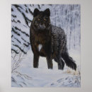 Recherche de noir loups posters Animaux