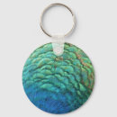 Search for peacock feather keychains Nature