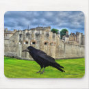 Search for black raven electronics Corvid