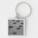Search for connie keychains Central america