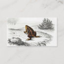 Recherche de grenouilles cartes visite Amphibien